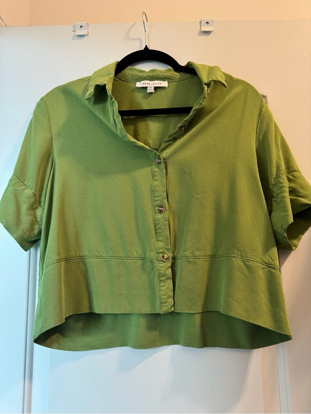 Rose & Olive Light Green Cropped Button-Front Shirt